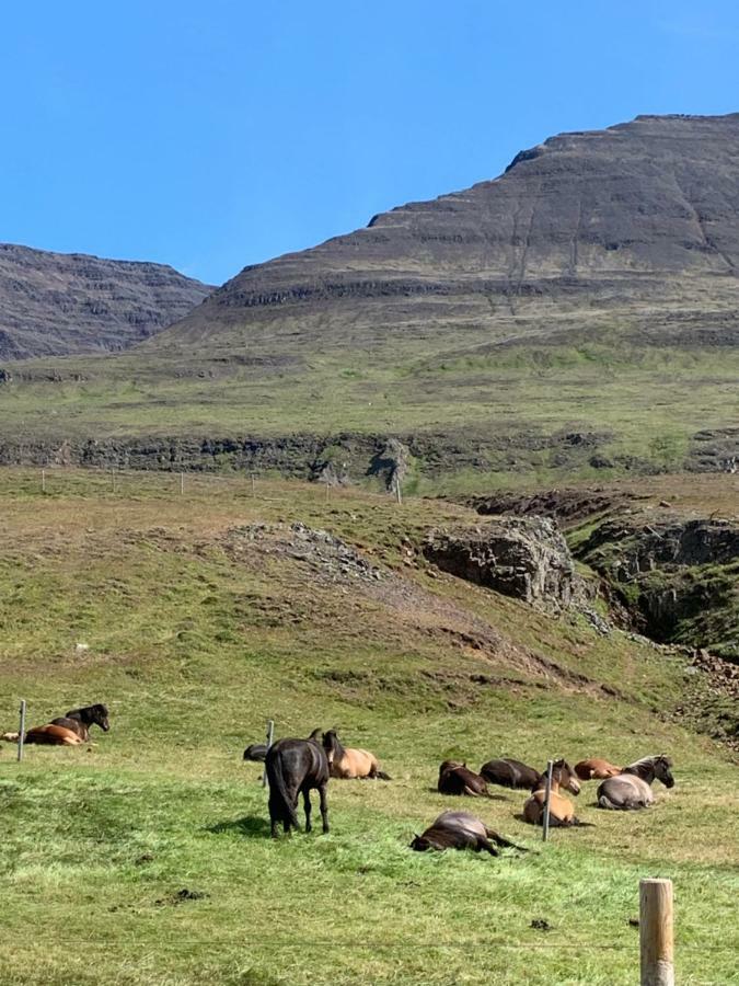 Midsitja Villa Varmahlíð Dış mekan fotoğraf